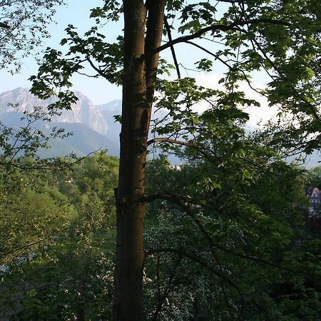 Apartament Cicha Woda Zakopane Zimmer foto