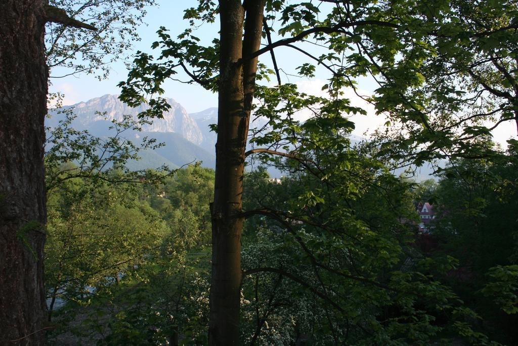Apartament Cicha Woda Zakopane Zimmer foto